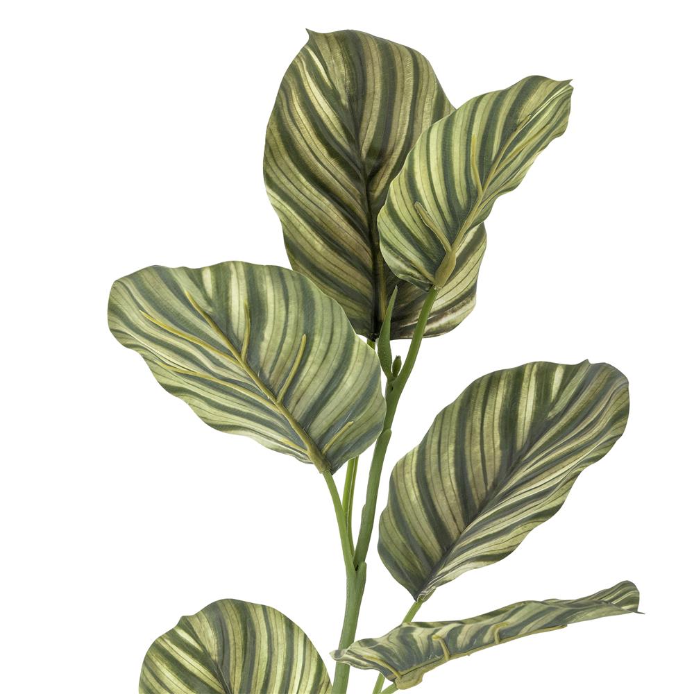 Bloomingville Zebra Kunstblume Grün 79cm naturgetreu Blattpflanze