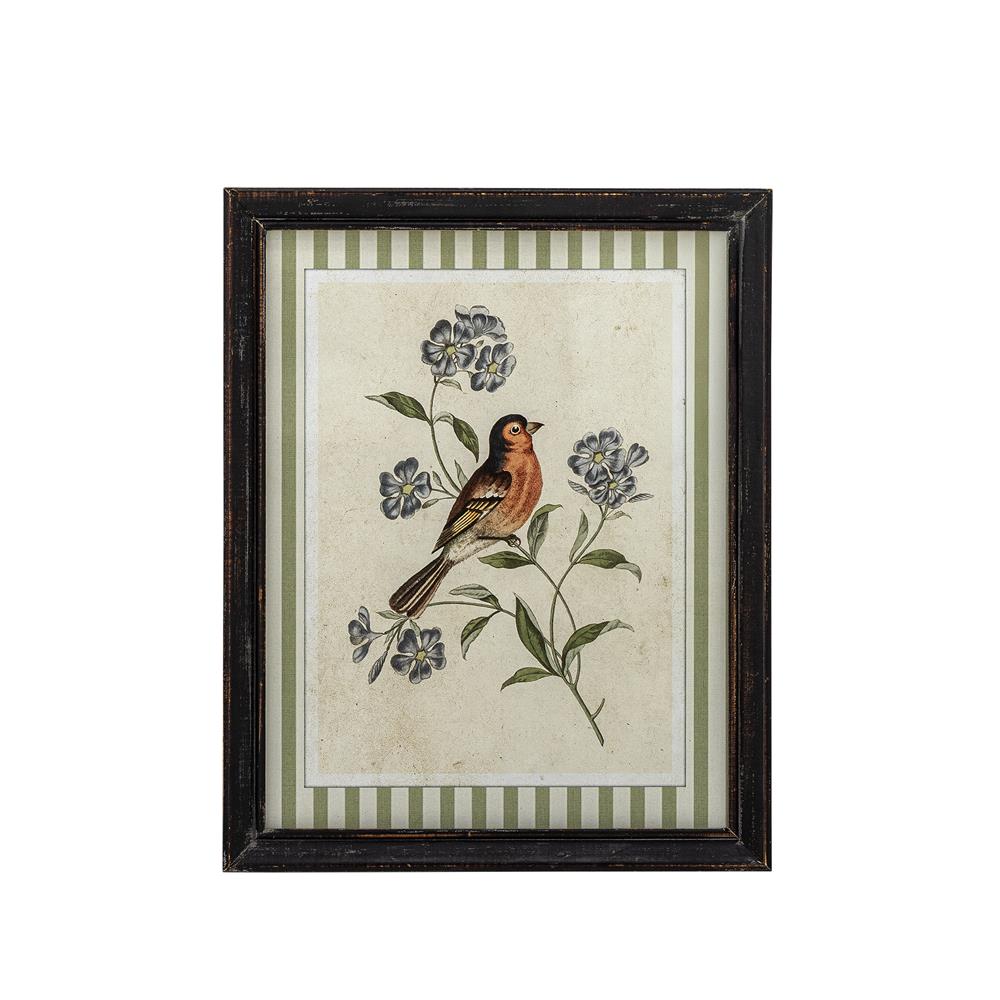 Bloomingville Renji Bild mit Rahmen bunt - Wanddeko Vogelmotiv Vintage Illustration für Wohnzimmer