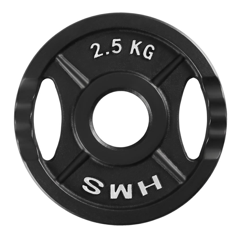 Hantelscheibe 2,5 kg Gusseisen 50 mm mit Griffen | HMS TOD02