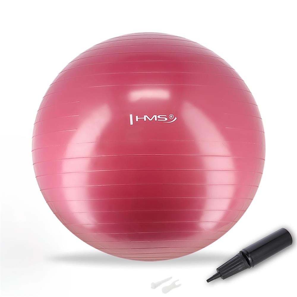 Gymnastikball 65 cm Pflaume mit Luftpumpe für Pilates und Fitness | HMS YB01N