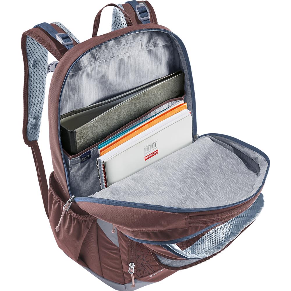 deuter Cotogy, Schulrucksack, ashrose-ink (braun), 26L, Schulranzen