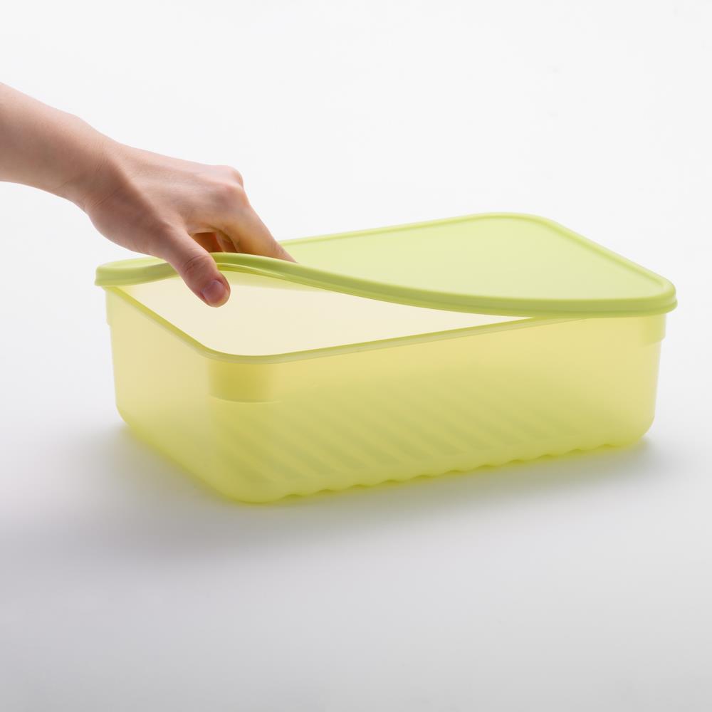 LocknLock Fresh Block Frischhaltedosen 330 ml 2er Set - Vorratsdose für Obst & Gemüse