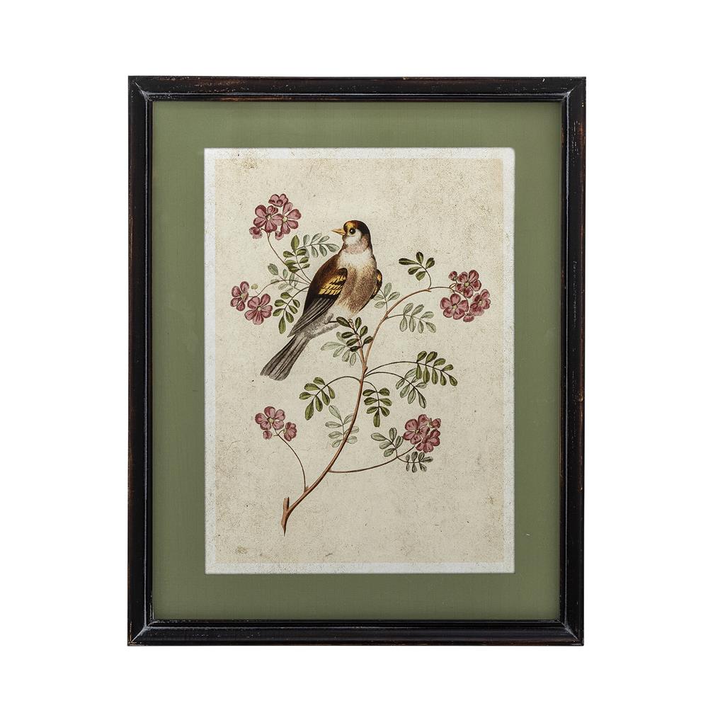 Bloomingville Renji Bild mit Rahmen bunt - Wanddeko Vogelmotiv Vintage Illustration für Wohnzimmer
