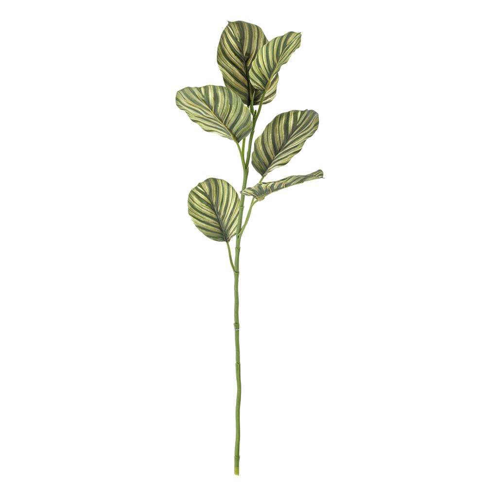 Bloomingville Zebra Kunstblume Grün 79cm naturgetreu Blattpflanze