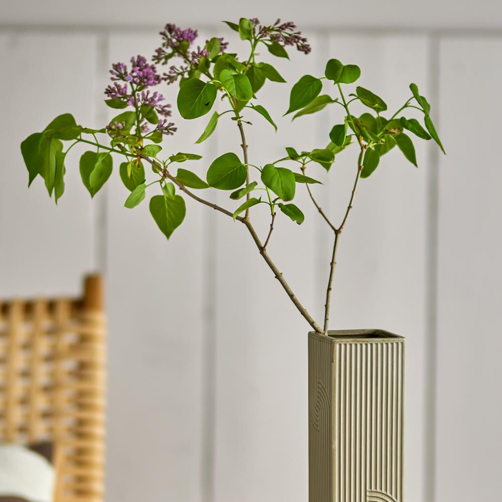 Bloomingville Heeira Vase Braun Steingut 26 cm schlank