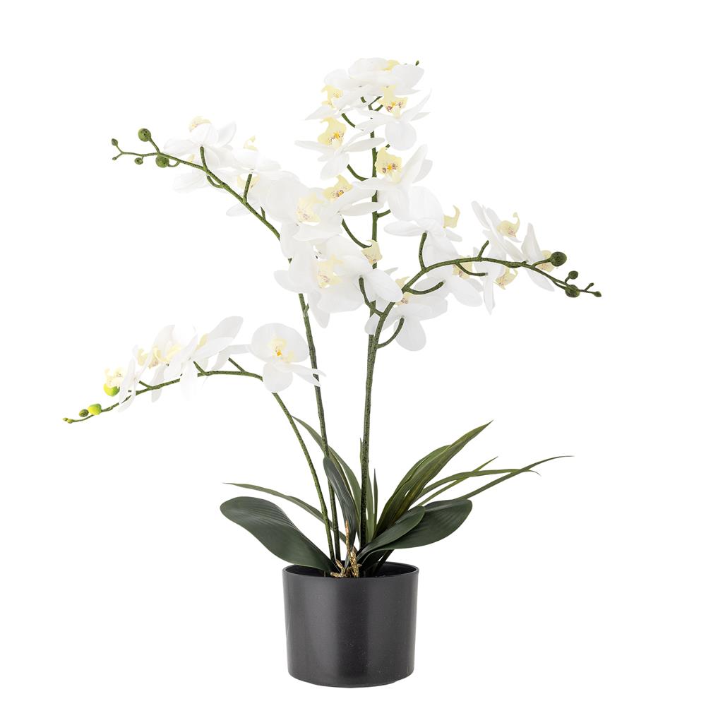 Bloomingville Orchid Kunstpflanze Weiß 84 cm mit Topf
