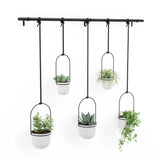 Umbra Triflora 5 Hängeblumentopf Weiß Stahl Blumenampel Wandvase