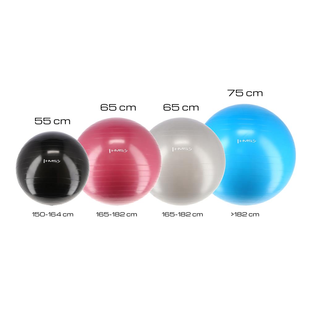Gymnastikball 55 cm Schwarz mit Luftpumpe für Pilates und Fitness | HMS YB01N