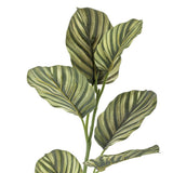 Bloomingville Zebra Kunstblume Grün 79cm naturgetreu Blattpflanze