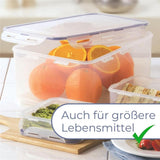 LocknLock PP Classic Vorratsdose 4,8 L mit Griff & Ablaufgitter, BPA-frei