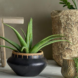Bloomingville Aloe Kunstpflanze Grün im Topf Höhe 61cm