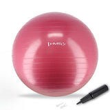 Gymnastikball 65 cm Pflaume mit Luftpumpe für Pilates und Fitness | HMS YB01N