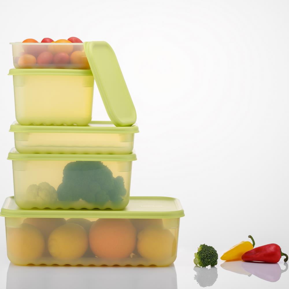 LocknLock Fresh Block Frischhaltedosen 330 ml 2er Set - Vorratsdose für Obst & Gemüse