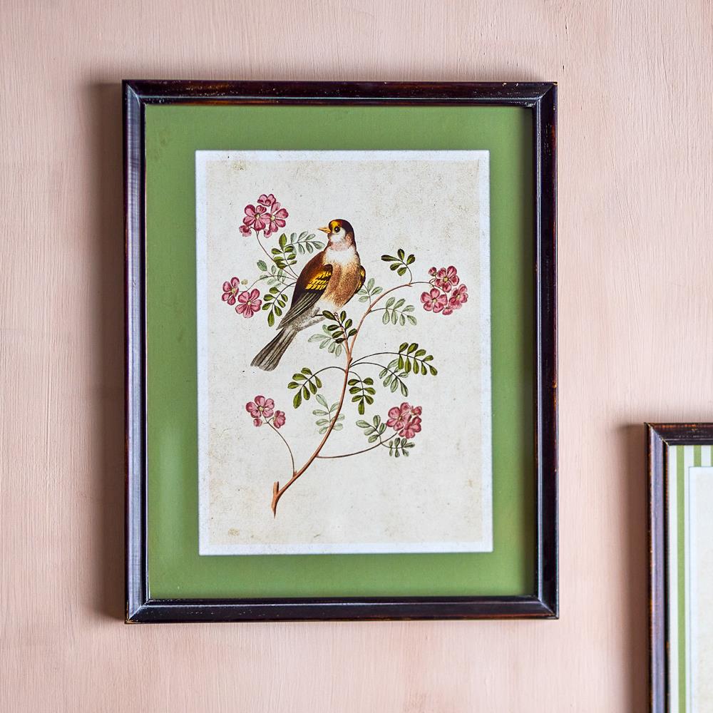 Bloomingville Renji Bild mit Rahmen bunt - Wanddeko Vogelmotiv Vintage Illustration für Wohnzimmer