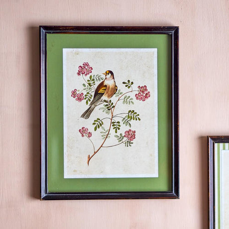 Bloomingville Renji Bild mit Rahmen bunt - Wanddeko Vogelmotiv Vintage Illustration für Wohnzimmer