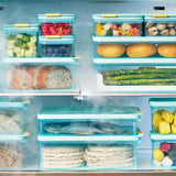 LocknLock Freezer Fit - Vorratsdose 450 ml - Frischhaltedose, Gefriergeeignet