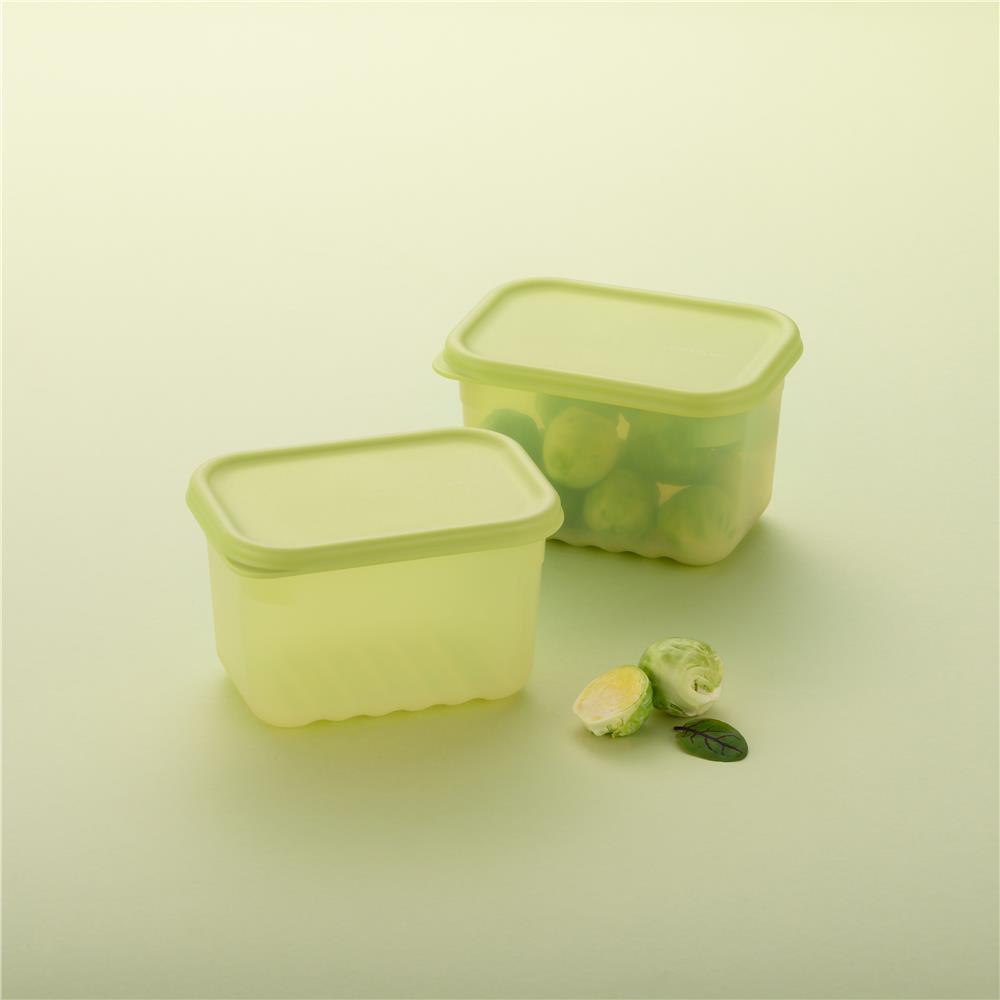 LocknLock Fresh Block Frischhaltedosen 640 ml 2er Set - Vorratsdose für Obst & Gemüse