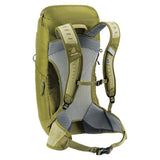 deuter AC Lite 24, Wanderrucksack, linden-cactus (grün), 24L
