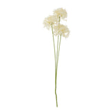 Bloomingville Allium Kunstblume Stiel Weiß 18x64cm