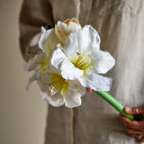 Bloomingville Amaryllis Kunstblume weiß Dekoblume Blumenstiel künstliche Blumendeko für Vase