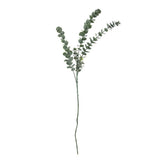 Bloomingville Eucalyptus Kunstblume Stiel Grün 76cm