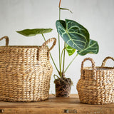 Bloomingville Bjorn Korb Set 2 natur - Aufbewahrungskorb Wasserhyazinthe für Wohnzimmer & Ordnung