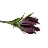 Bloomingville Lily Kunstblume Weiß Stiel 75 cm Lilie