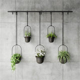 Umbra Triflora Vase in Schwarz, 5er-Hängeblumentopf für Wand- und Deckenmontage