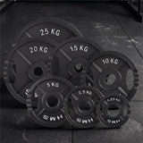 Hantelscheibe 1,25 kg Gusseisen 50 mm mit Griffen | HMS TOD01