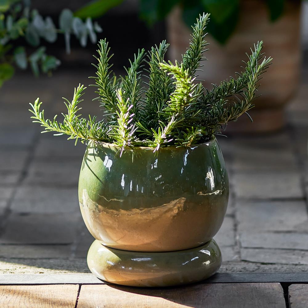 Bloomingville Imke Blumentopf mit Untertasse grün - Steingut Pflanztopf für Pflanzen & Wohnen
